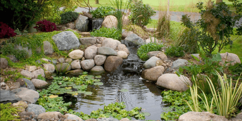 Koi Ponds & Water Gardens - Download Free CAD Drawings, BIM Models, Revit, Sketchup, SPECS and more.